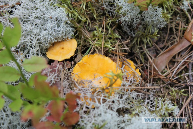 Славянская Душа