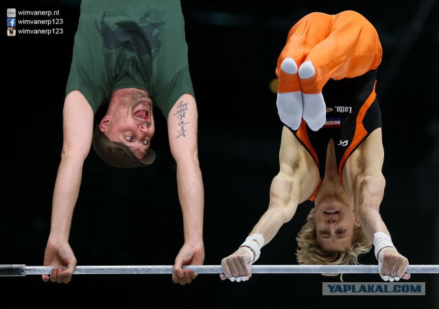 Никакого фотошопа