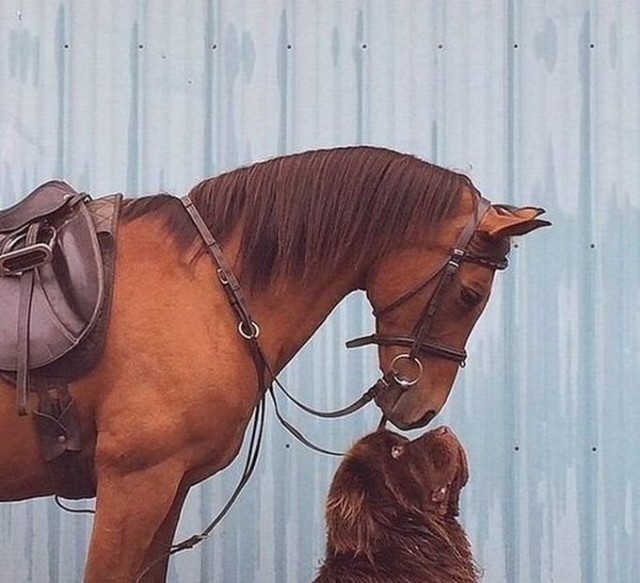 Подборка интересных и веселых картинок