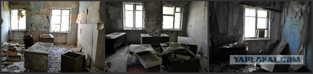 Семикаракорский консервный завод