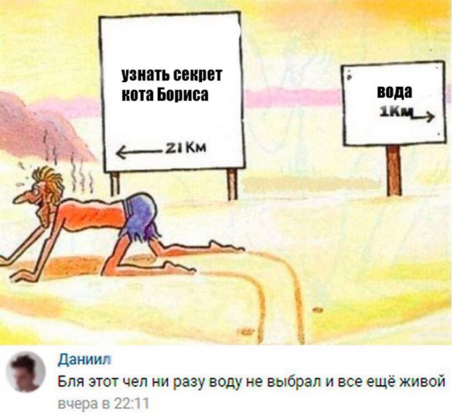 Приколы в стиле деградация