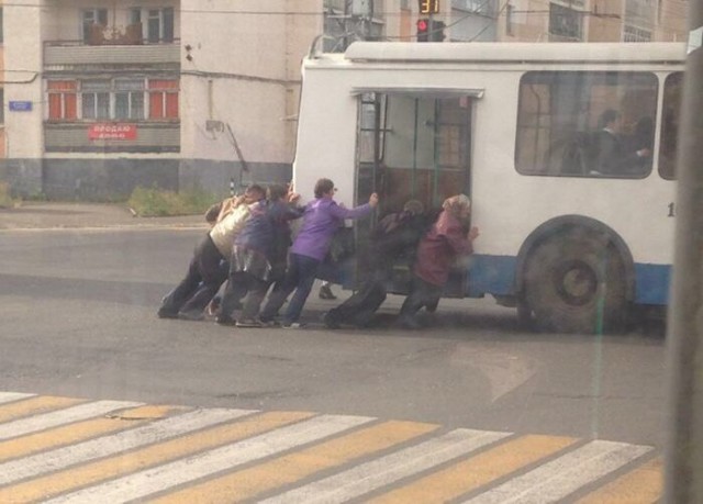 Подборка безудержного веселья