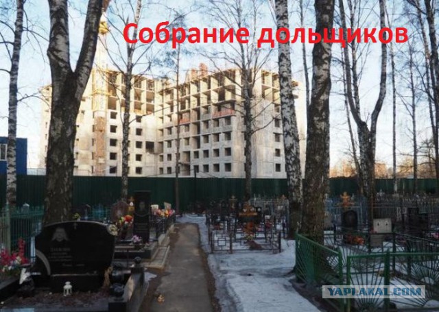 Сбор аморалов Япа объявляется открытым