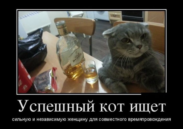 Кто такие принцеждалки?