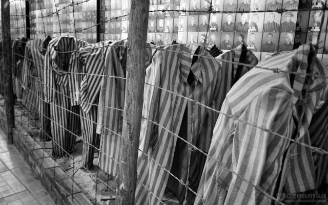 МОК представил логотип «Олимпийских атлетов из России» для Пхенчхана-2018