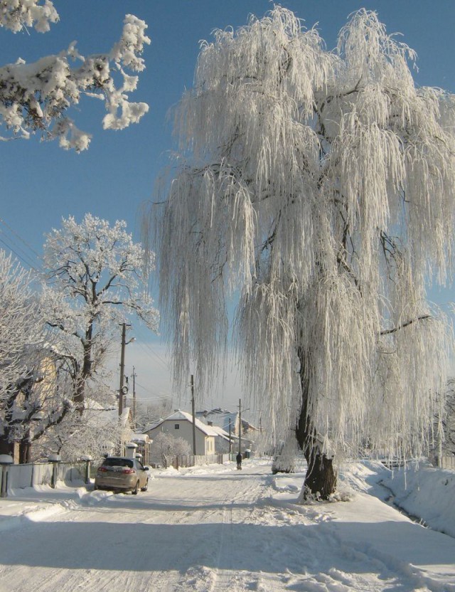 Подборка забавных картинок