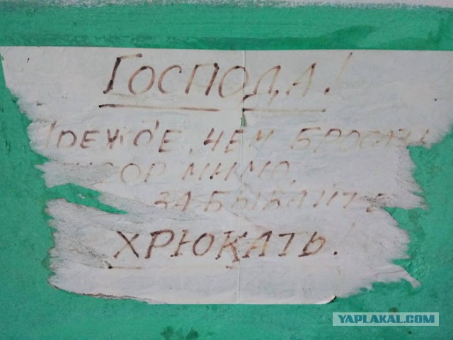 Чиновники, а зачем вы такие красивые нужны?! Главы Мурманска ответили: во всём виновата зима и неправильный народ