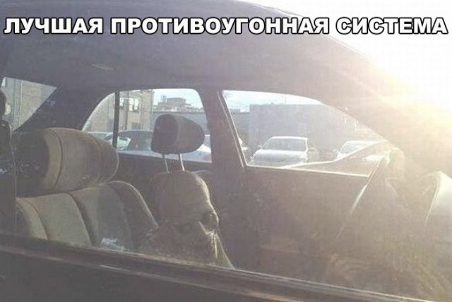 Нестандартный юмор