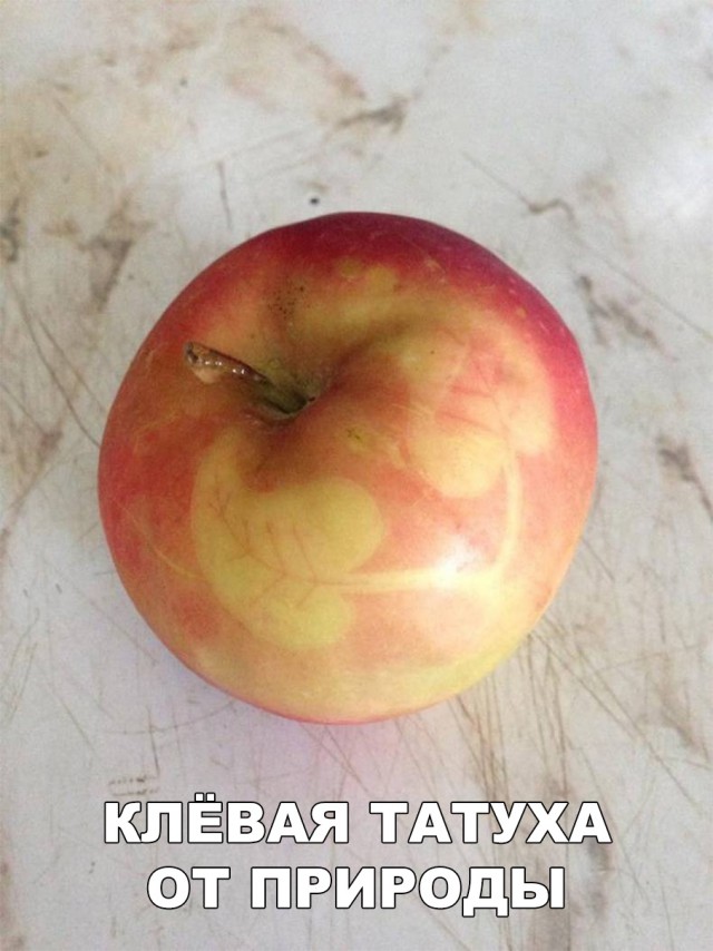 Нестандартный юмор