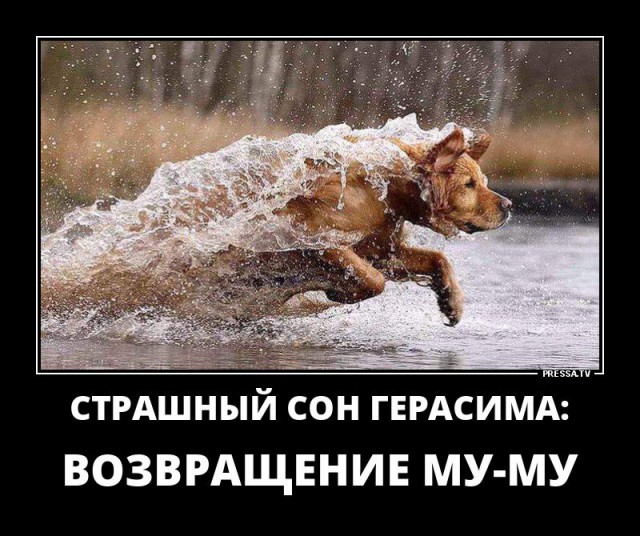 Забавное из сети