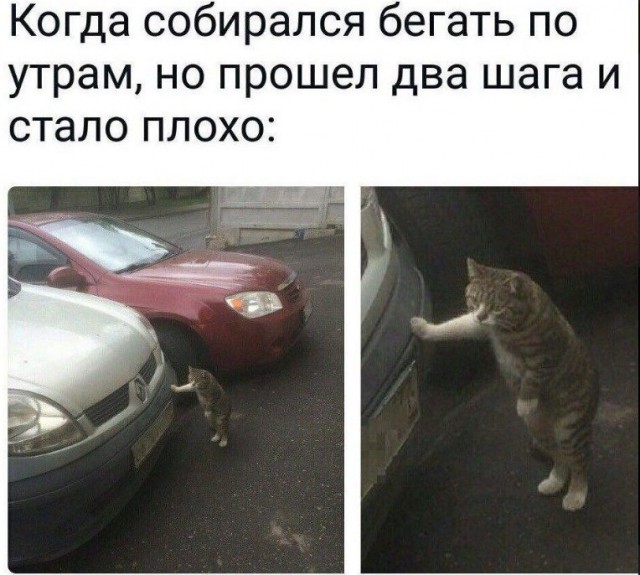 Специфический юмор