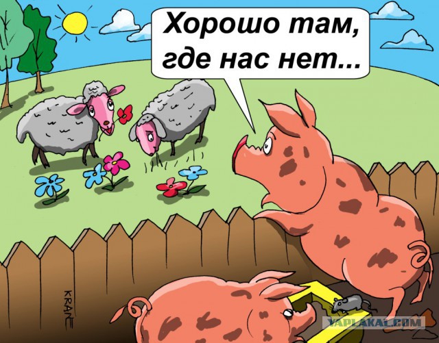 Понаехавшие: кто виноват и что делать?