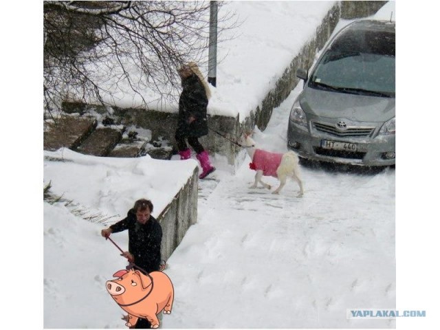 А у нас во дворе есть девчёнка одна...