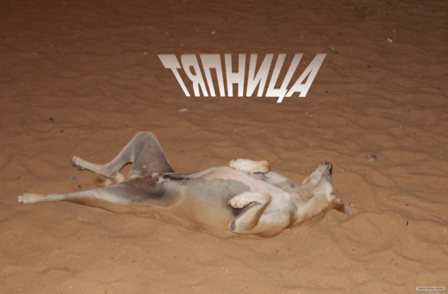 Пятница - начинаем готовиться к отдыху
