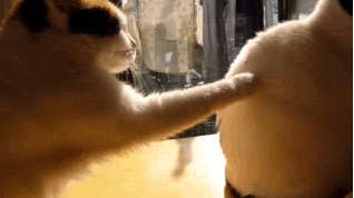 Сначала вежливо попросил