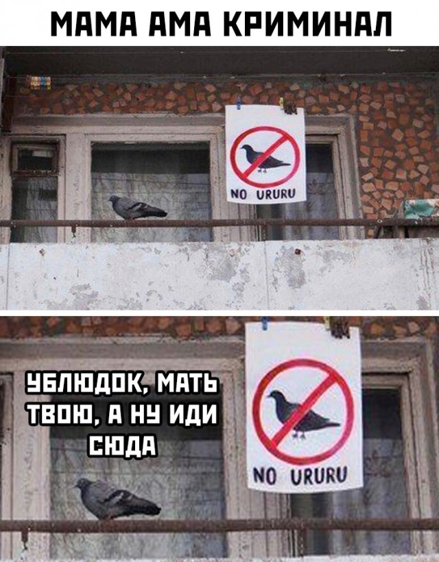 Немного картинок для настроения