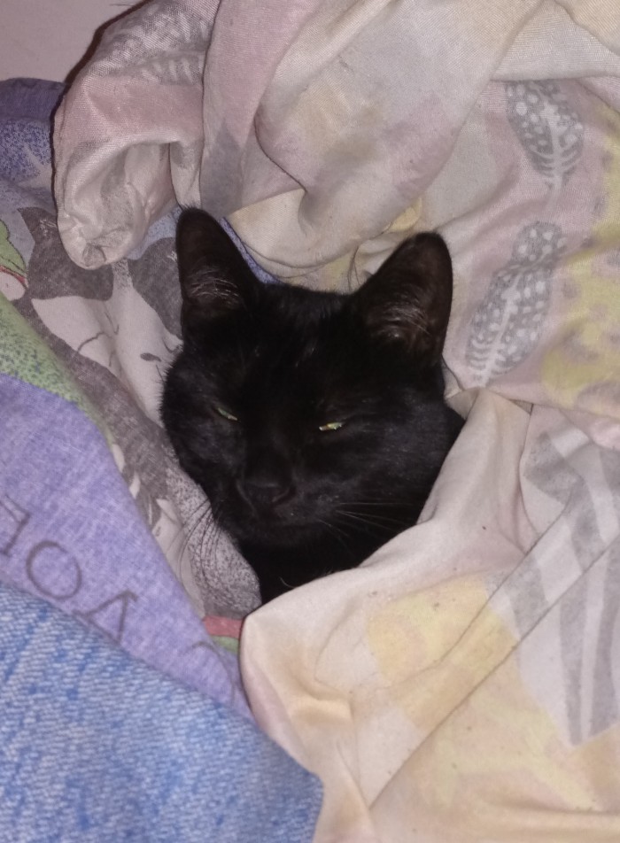 Paзнoвиднocти тьмы