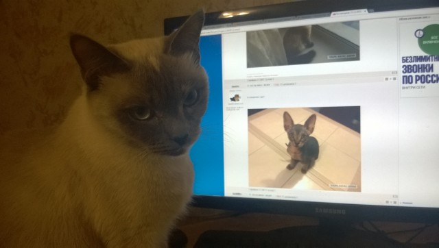 Краткосрочный отпуск с Радуги