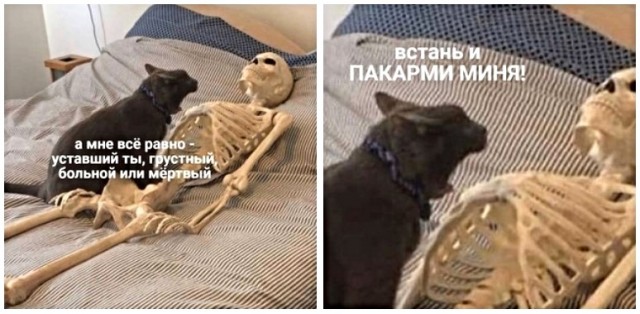 Картинки с надписями, истории и анекдоты 05.12.19