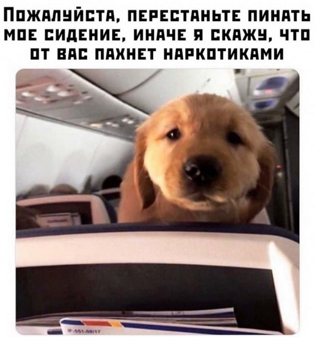 Праздничная чернь