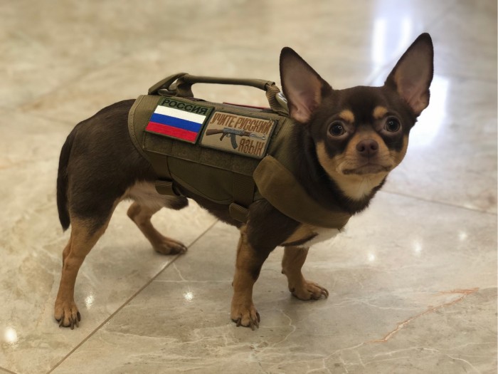 Этот взгляд