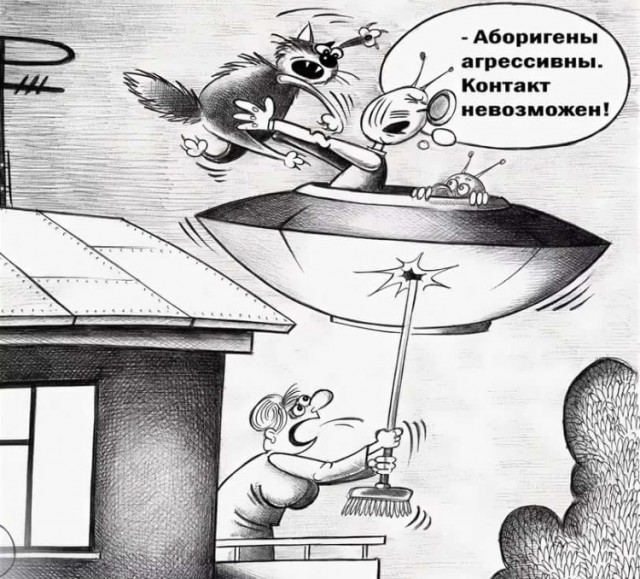 Наши проиграли...