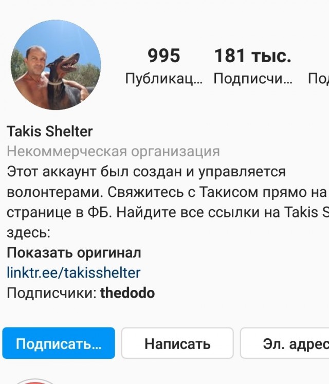 Человек подобрал кота, застрявшего в консервной банке