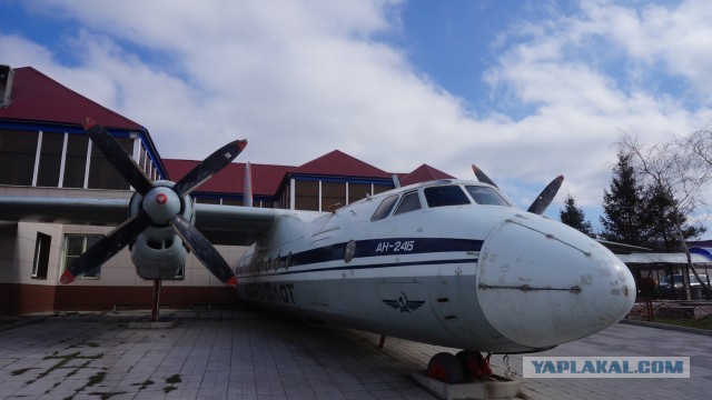 В международной зоне прилёта Внуково установили ширму