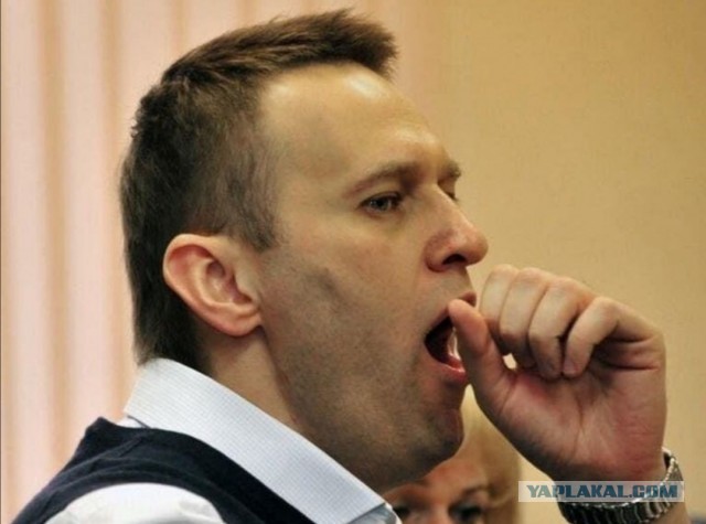 Стрим возвращения Навального из Берлина во Внуково