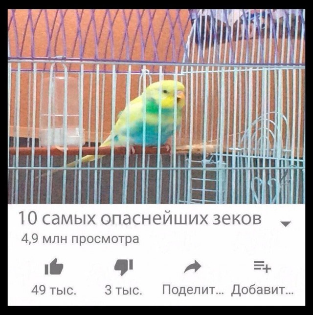 Едрить - колотить!