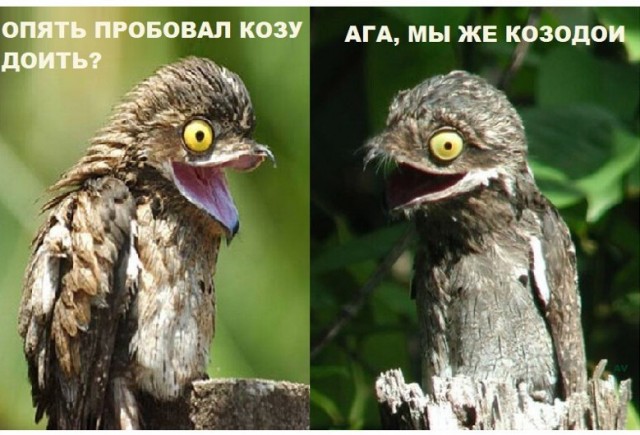 Картинки разные