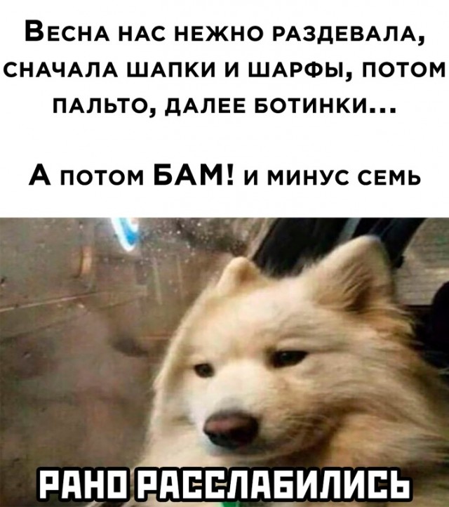 Весёлый полтишок 16.03