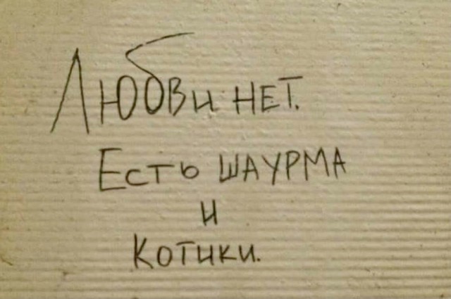 Юмор и прикольные картинки
