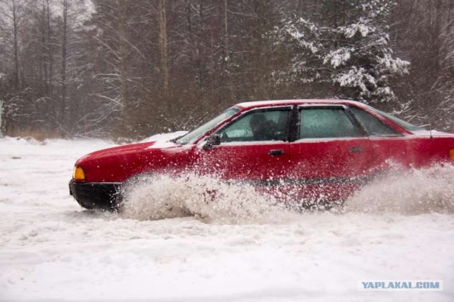 Снег не помеха Quattro