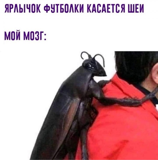 Картинки с надписями и всякие жизненные фразы 12.06.21