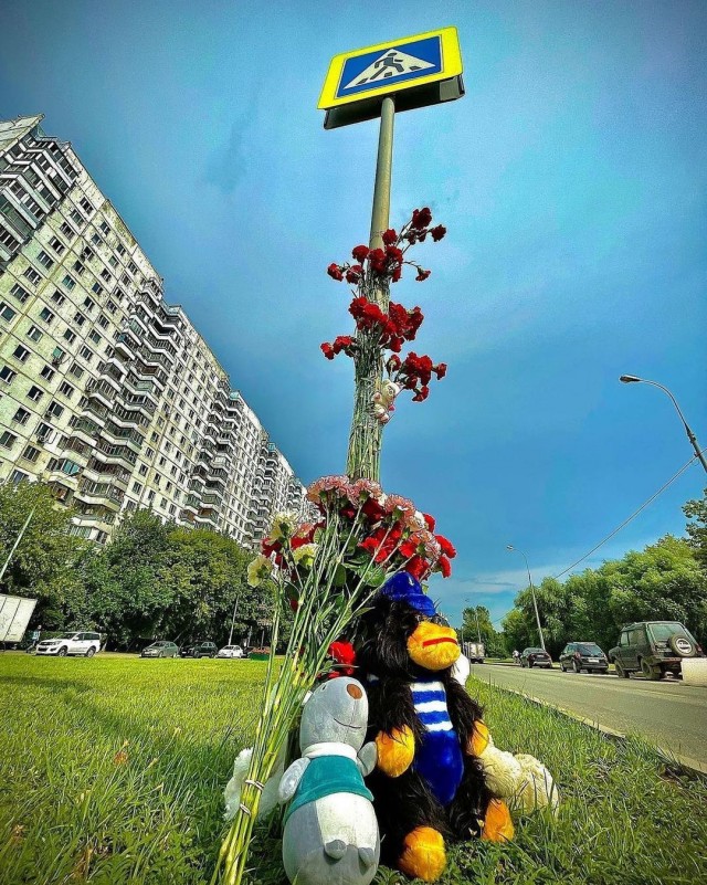 Пятилетний мальчик, сбитый автомобилем на дороге на западе Москвы, умер в больнице