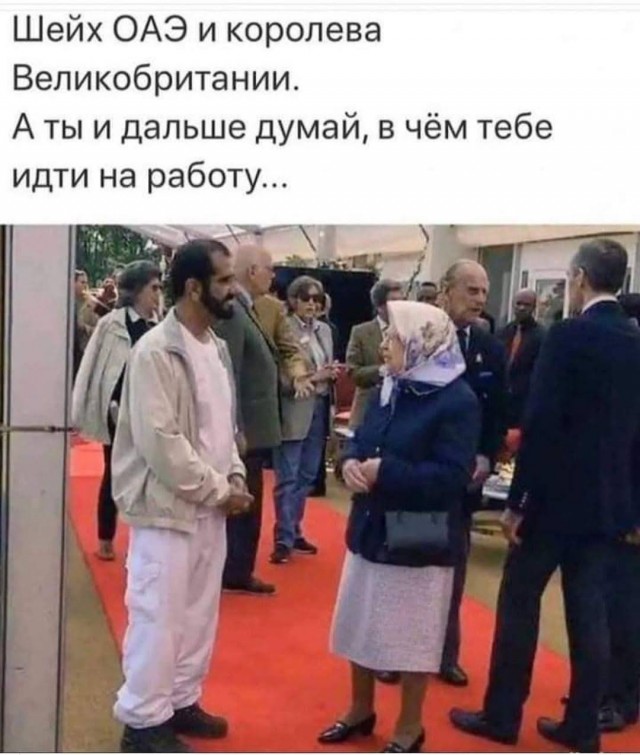 Всяческие картинки 19.07.2021