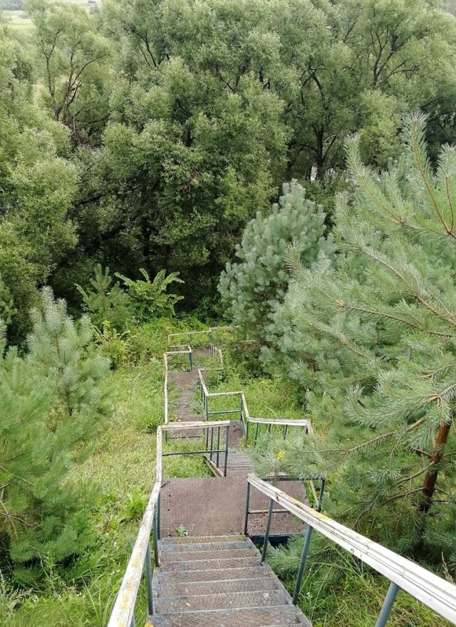 Сплав по реке Десна 01.08-08.08.2021