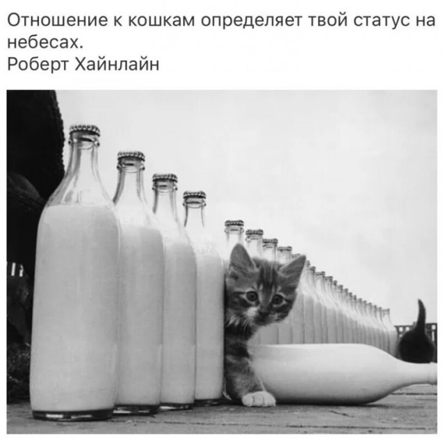 Прикольные и просто красивые картинки 12.10.2021