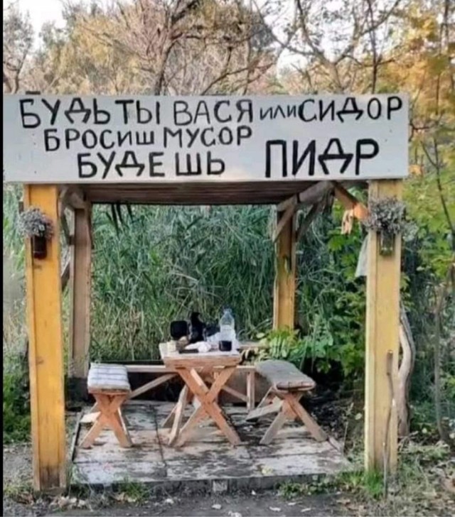 Солянка из картинок для поулыбаться или просто пофтыкать