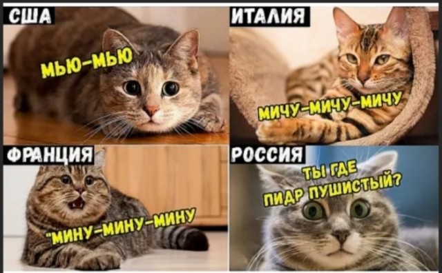 Мешанина из картинок, поулыбаться или просто пофтыкать