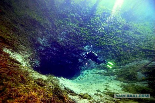 Меня от просмотра аж передёрнуло
