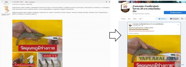 Зомби-апокалипсис 2022