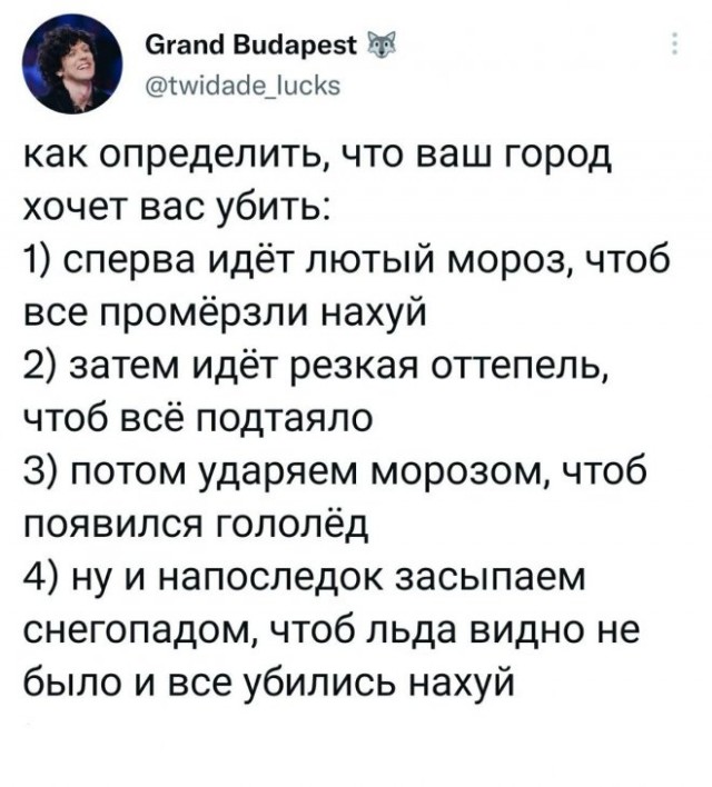 Человек собаке друг и другие картинки и мемы  под настроение