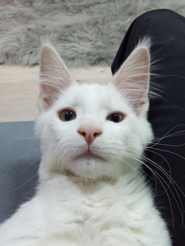 У нас пополнение