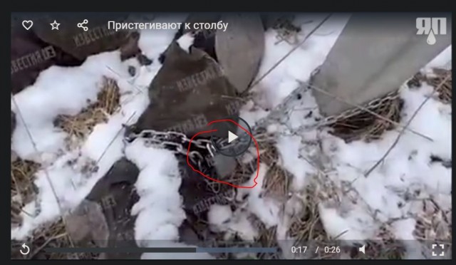 На позициях украинских войск продолжают находить пристёгнутых цепями к столбами боевиков