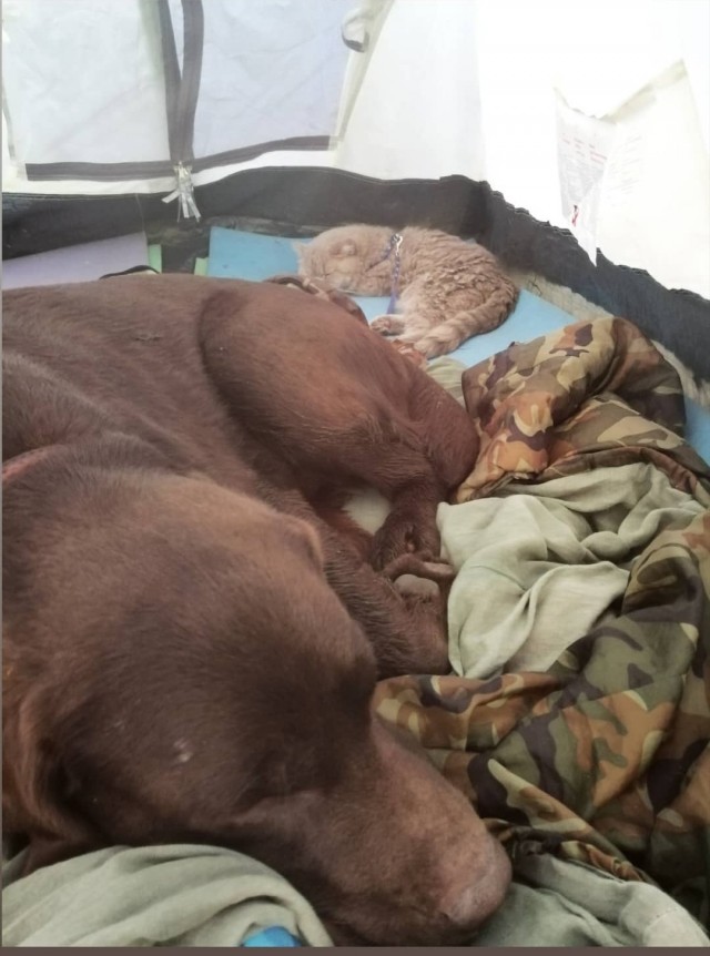 Ну, поехали в котоввторник!