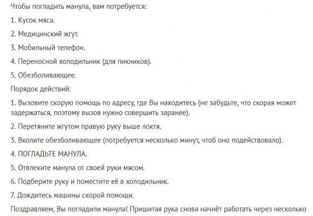Опять манул