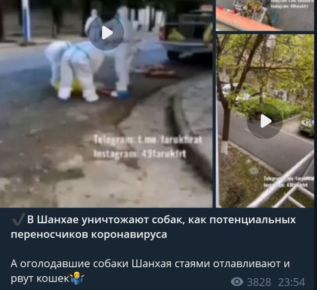 Пандемия. Коронавирус и съехавшие крыши. Россия и мир. Часть 32.