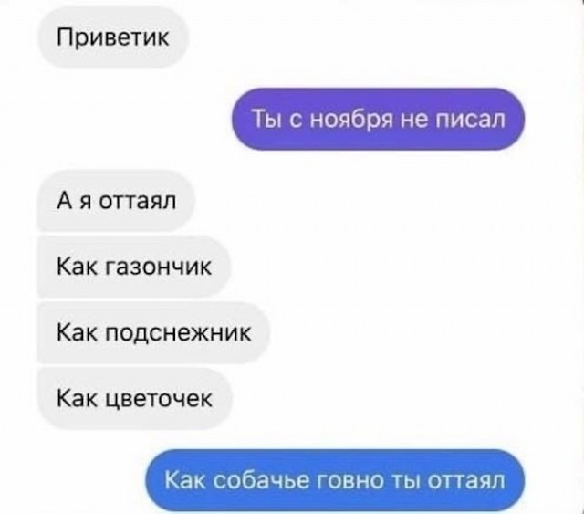 Так себе картинки 29.04.22